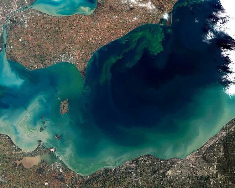 A satellite view of Lake Erie that shows large green swirls of algal blooms.